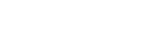 TTAUDIT